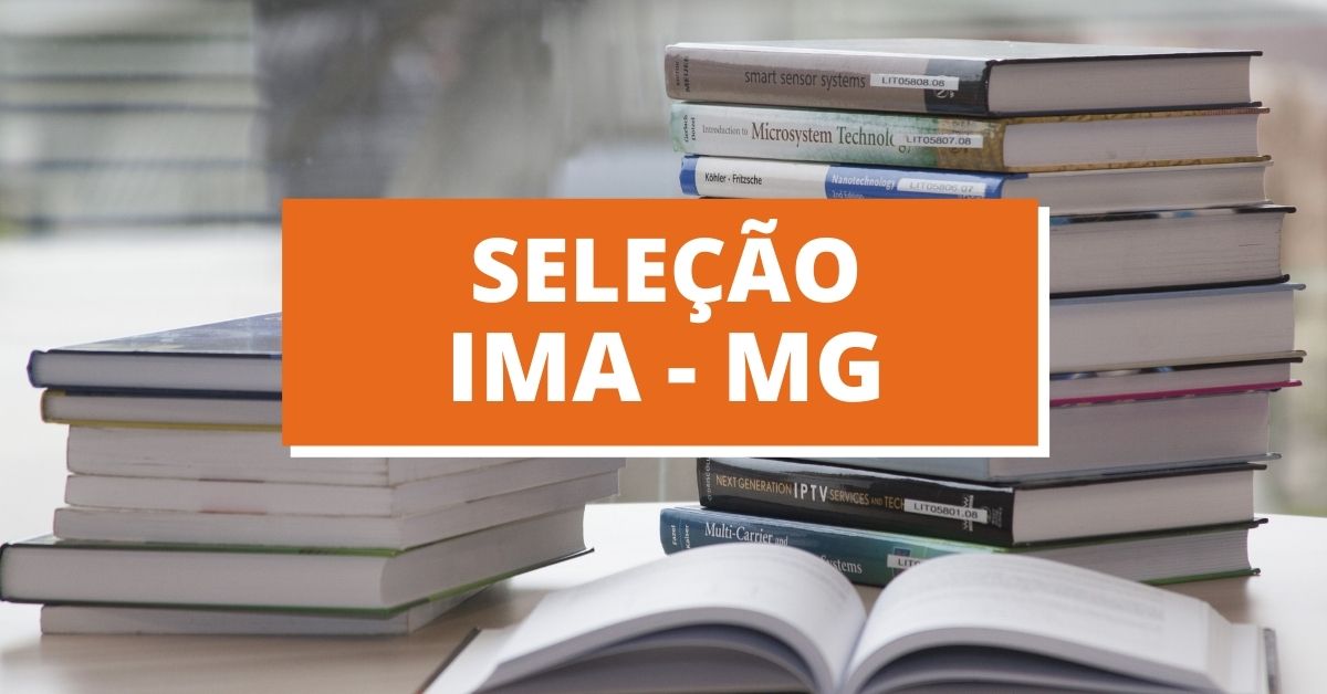 IMA MG Divulga Edital De Processo Seletivo Veja Como Solicitar Sua