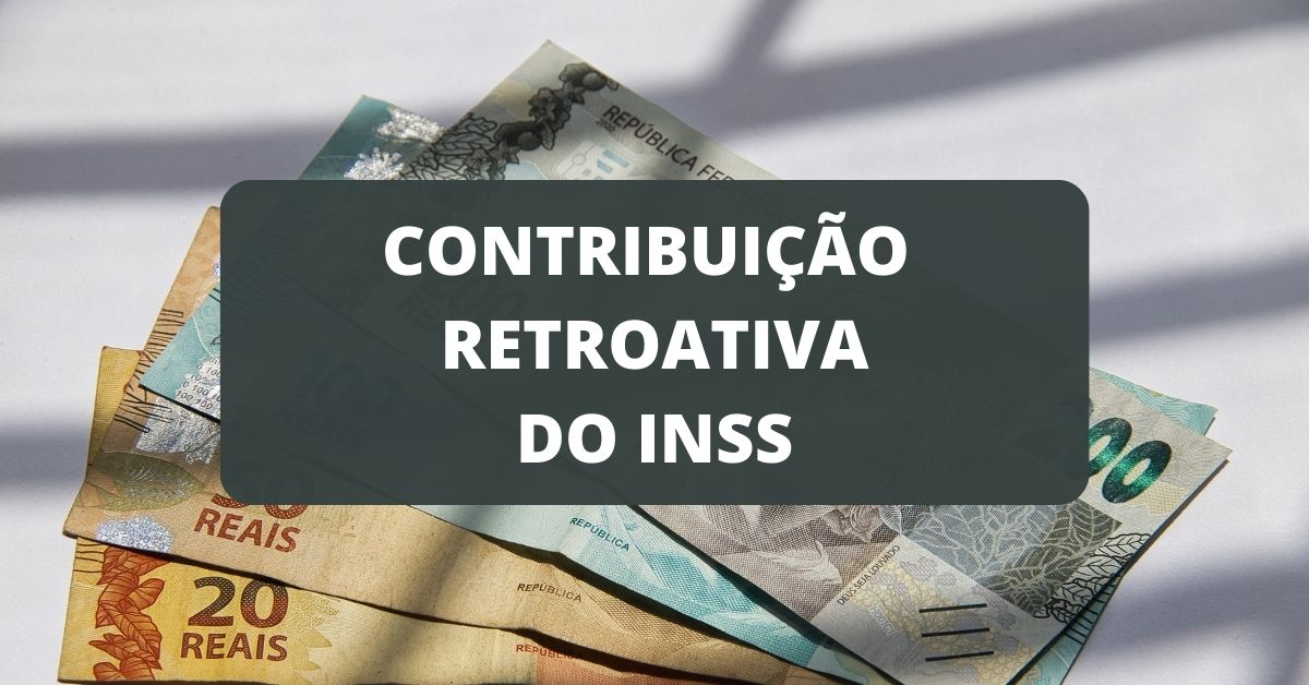 Contribuição do INSS 2022 afinal de contas posso fazer pagamento