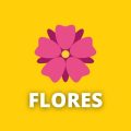 Flores: tipos, estruturas, características e significados