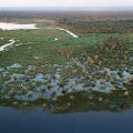 Pantanal: caraterísticas, vegetação, fauna e flora