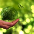 Sustentabilidade: o que é, tipos, impactos e benefícios