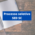 SED SC abre vagas em novos editais de processo seletivo simplificado