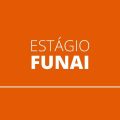 Funai abre edital de estágio remunerado com vagas em 19 estados e Distrito Federal