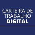 Carteira de Trabalho Digital: saiba usar o app e gerar o seu documento