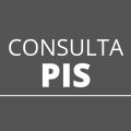 Saiba fazer a consulta de seu PIS pelo CPF