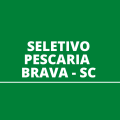 Prefeitura de Pescaria Brava – SC libera edital de processo seletivo