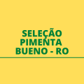 Prefeitura de Pimenta Bueno – RO abre seletivo; até R$ 9,5 mil