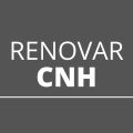 Até quando posso renovar a CNH? Confira calendário com todas as datas