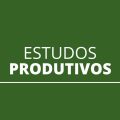 6 técnicas para deixar seus estudos ainda mais eficazes e produtivos