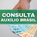 Auxílio Brasil: como saber se fui selecionado para receber o valor?