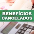 MEI: conheça benefícios que podem ser cancelados após formalização