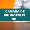 Concurso Câmara de Brunópolis – SC: edital e inscrição