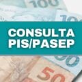 Saiba como consultar seu PIS pelo CPF