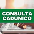 Consulta do CadÚnico pode ser feita pela internet; veja o passo a passo