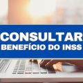 Confira como consultar benefício do INSS pelo CPF