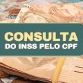 Saiba como consultar benefício do INSS por meio do CPF