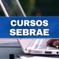 SEBRAE oferece mais de 300 cursos on-line e gratuitos; Veja como se cadastrar