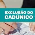 CadÚnico: quais critérios podem excluir famílias do Cadastro Único?