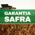 Garantia-Safra: governo autoriza pagamento; parcela única de R$ 850