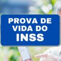 INSS: confira 11 documentos que valerão como prova de vida