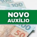 Novo auxílio terá 9 parcelas de R$ 65; veja regras e quem poderá receber