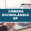 Concurso Câmara de Divinolândia – SP lança edital com iniciais de R$ 4,9 mil