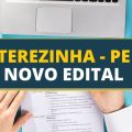 Concurso Prefeitura de Terezinha – PE: Edital e Inscrição; até R$ 6 mil