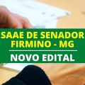 Concurso SAAE de Senador Firmino – MG: Edital e Inscrição