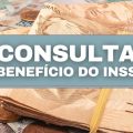 INSS: como consultar situação do benefício pelo seu CPF