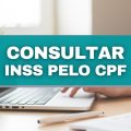 Saiba como consultar benefício do INSS pelo seu CPF