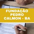 Fundação Pedro Calmon – BA abre 24 vagas em seleção simplificada