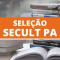 Secult – PA abre novas vagas imediatas em edital simplificado