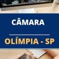 Concurso Câmara da Estância Turística de Olímpia – SP: salários de até R$ 3,5 mil