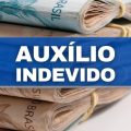 Veja se você terá que devolver o auxílio emergencial neste ano