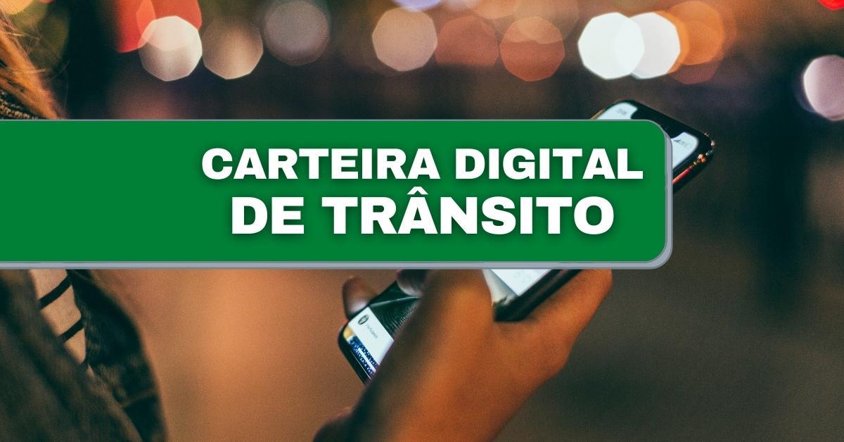 Não consigo acessar a carteira digital de trânsito com os dados