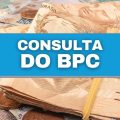 BPC: como saber se o meu benefício foi liberado? Descubra aqui