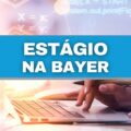 Bayer abre programa de estágio com 122 vagas; bolsa-auxílio de até R$ 2,2 mil