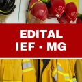 IEF – MG abre 280 vagas para brigadistas em 50 cidades