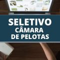 Câmara de Pelotas – RS abre processo seletivo