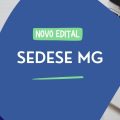 SEDESE MG divulga edital de processo seletivo