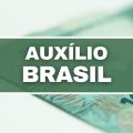 Como saber se fui aprovado no Auxílio Brasil? Descubra aqui