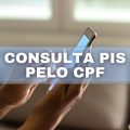 Saiba como consultar o número do seu PIS usando apenas o CPF