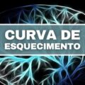 5 dicas para evitar a curva do esquecimento durante os estudos