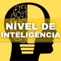 Nível de inteligência: estas 5 práticas te ajudam a ter uma mente brilhante