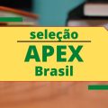 ApexBrasil publica novos editais; mensais de R$ 8.726,42