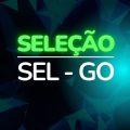 SEL – GO divulga edital de processo seletivo