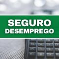 Quem tem direito às cinco parcelas do seguro-desemprego em 2024?