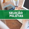 Prefeitura de Pelotas – RS anuncia edital de processo seletivo; veja como participar