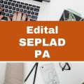 SEPLAD – PA abre vagas imediatas em dois editais; quatro cidades contempladas