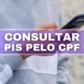 Saiba como consultar o número do seu PIS usando apenas o CPF